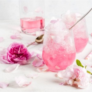 Champagne and Rose Petal Spritzer Fragrance Oil BBW®